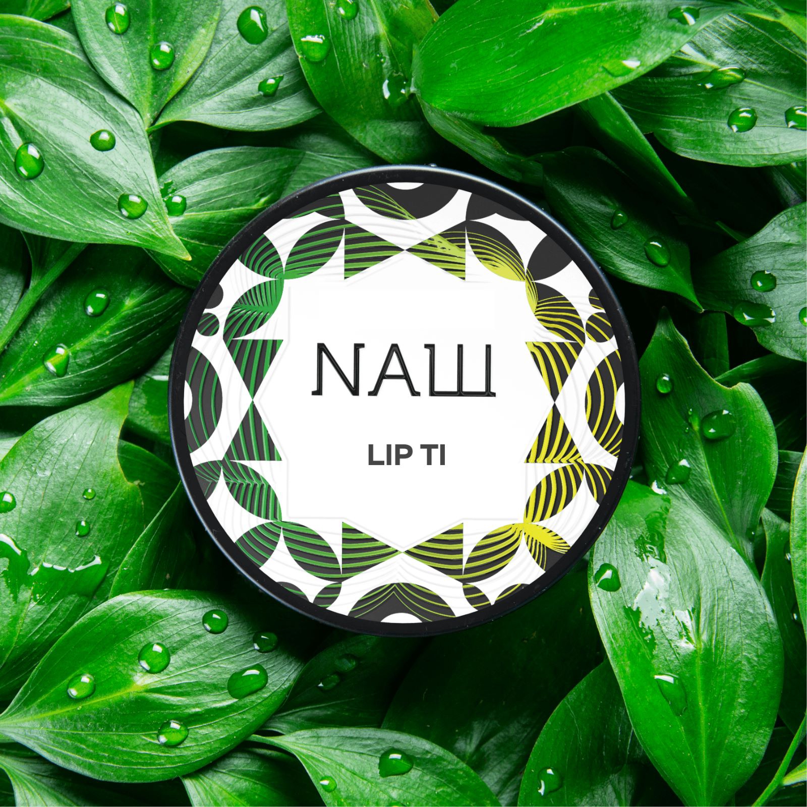 Nasch Tobacco 25g - Lip Ti