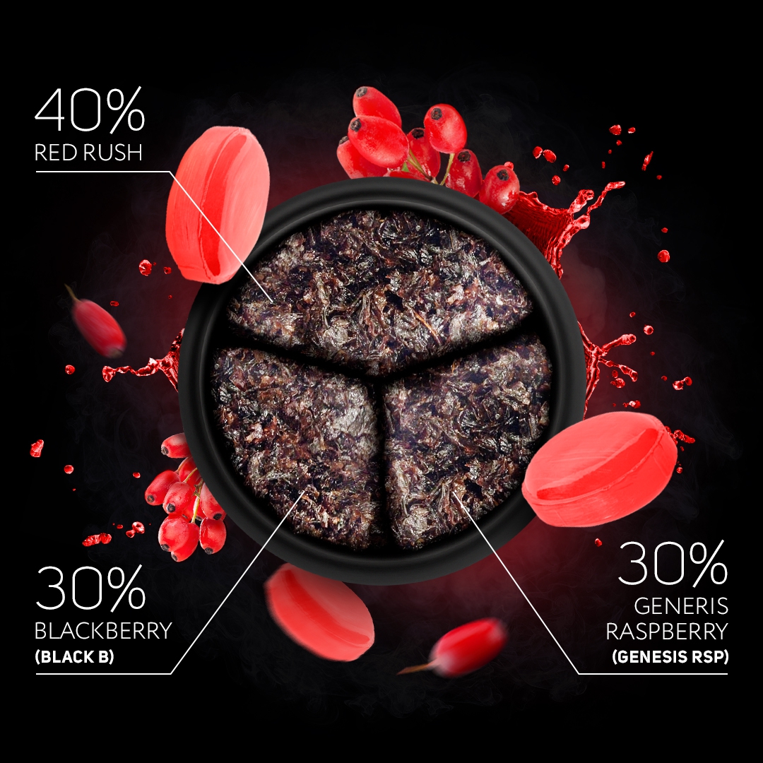 Darkside Tobacco Base 25g - Red Rush
